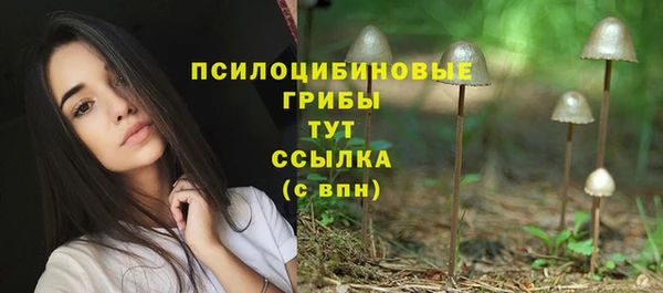 Альфа ПВП Осташков