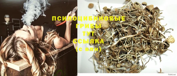 Альфа ПВП Осташков