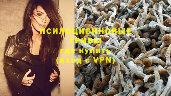 соль курить ск Остров