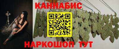 дживик Кингисепп