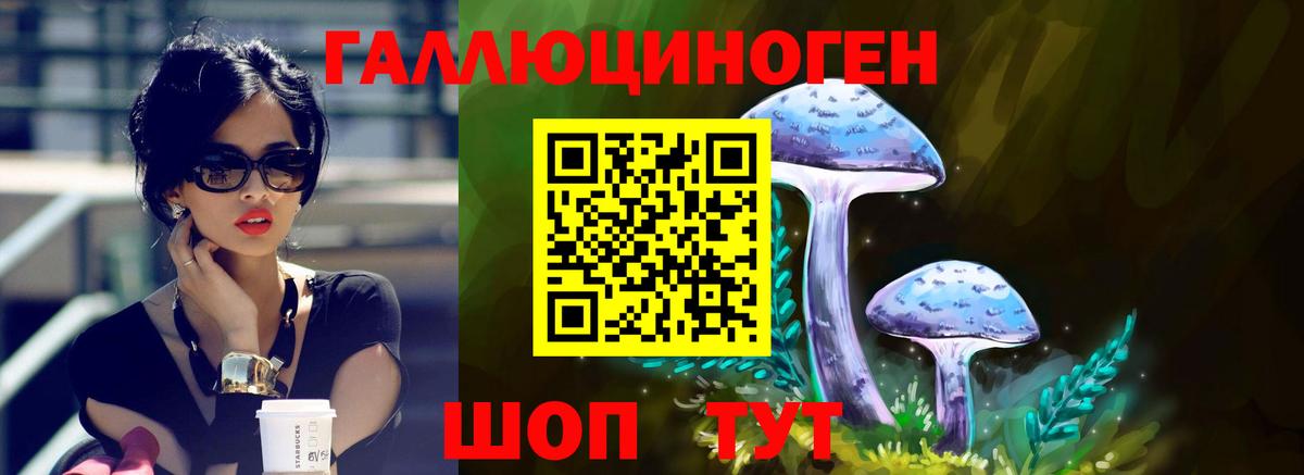 где найти наркотики  Псилоцибиновые грибы мухоморы  Вход с VPN  Рассказово 