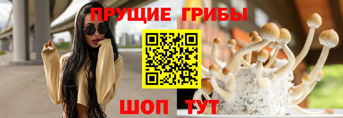 Галлюциногенные грибы мухоморы Рассказово